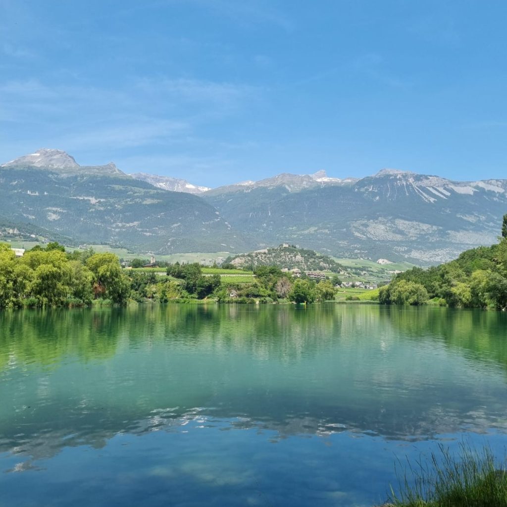 e8c3258a-a10a-4380-b28b-388e22ec86fb